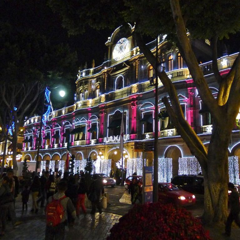From Vision to Reality: How Professional Christmas Light Installation Works